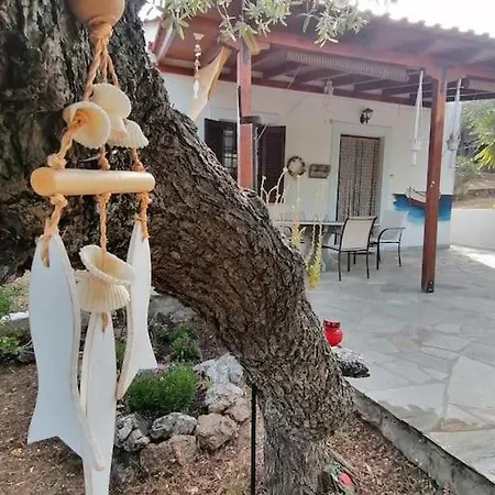 Sofia's House-το σπίτι της σοφίας Άφησσος
