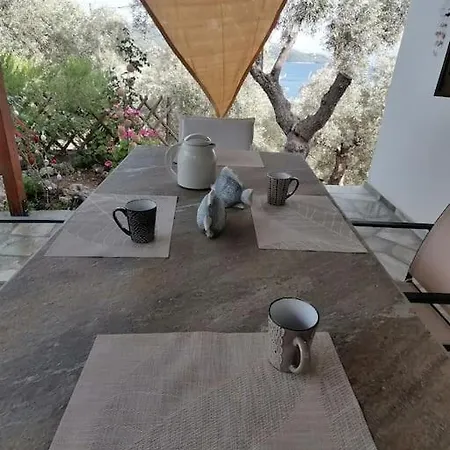 Σπίτι διακοπών Sofia's House-το σπίτι της σοφίας