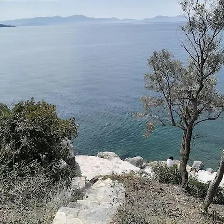 Sofia's House-το σπίτι της σοφίας